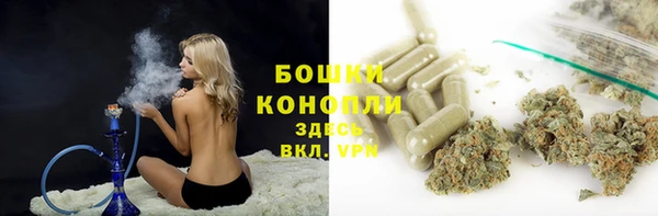 сатива Аркадак