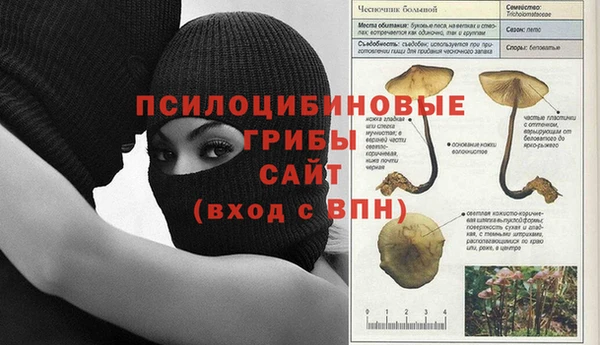 сатива Аркадак