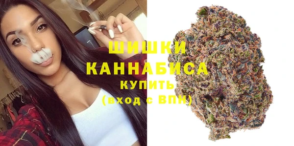 сатива Аркадак