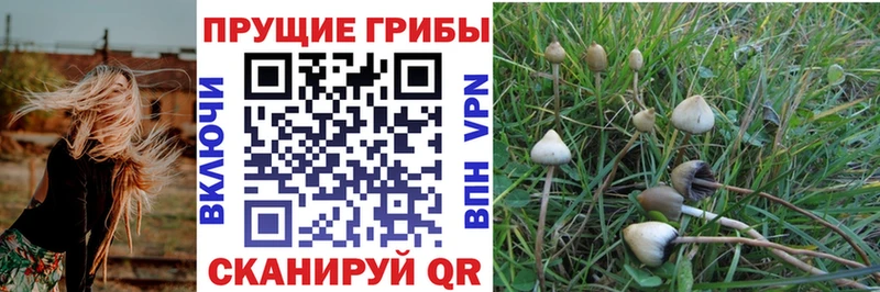 Псилоцибиновые грибы ЛСД  Купить закладки  Сенгилей 